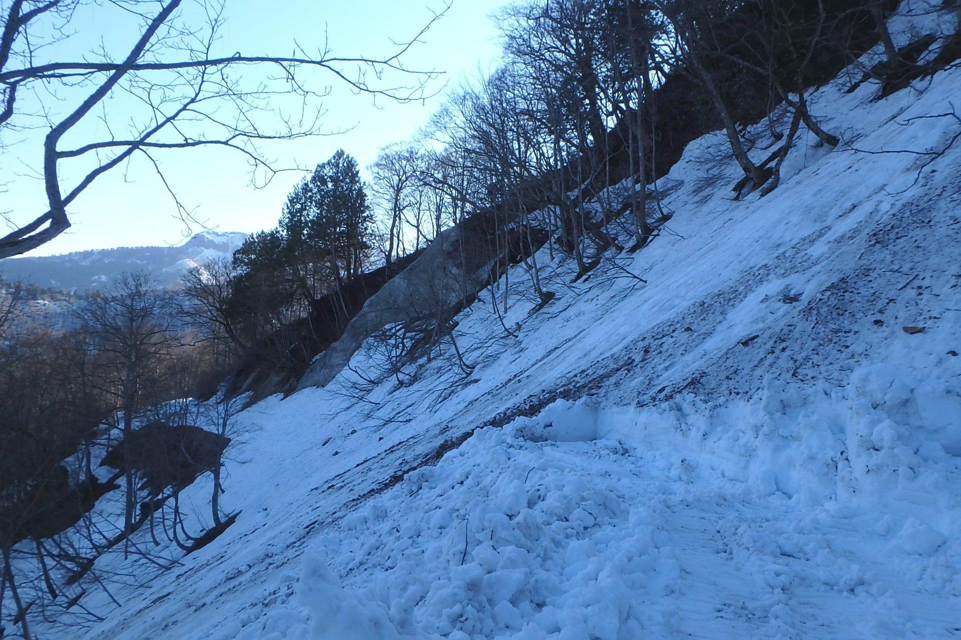 苗場山 小赤沢コース 山スキーと釣れづれ日記